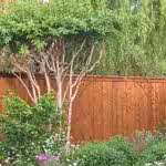Natural Cedar On Cedar