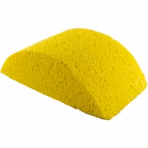Dynamic Turtleback Wallpaper Sponge