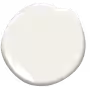 benjamin moore colour steam