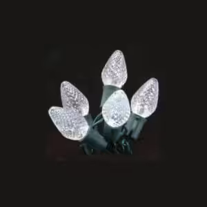 outdoor led christmas lights pure white