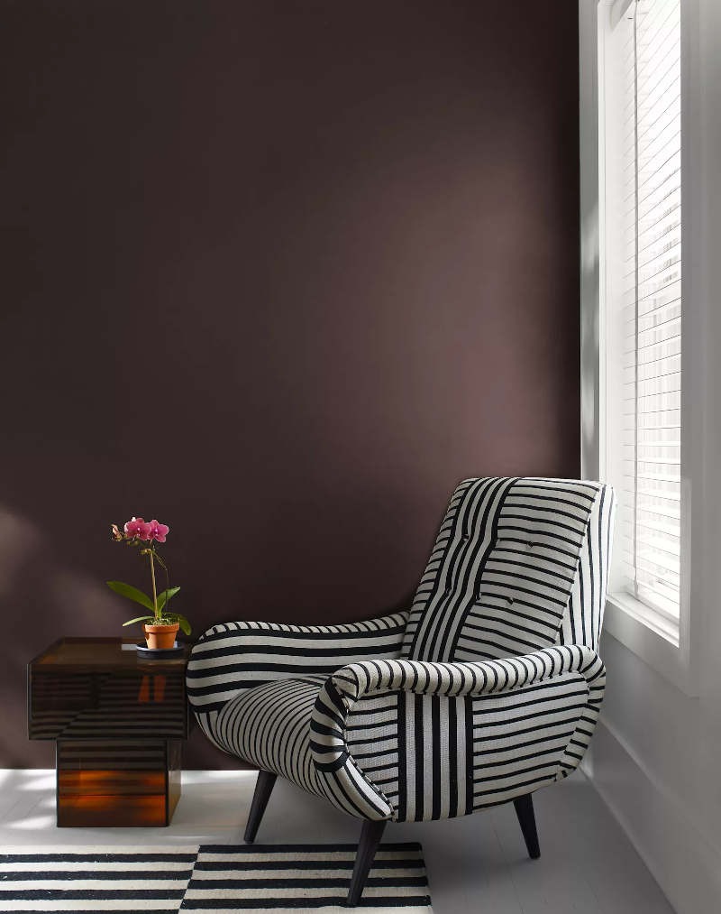 wenge painted wall, black and white striped chair, and a window with sunlight coming through