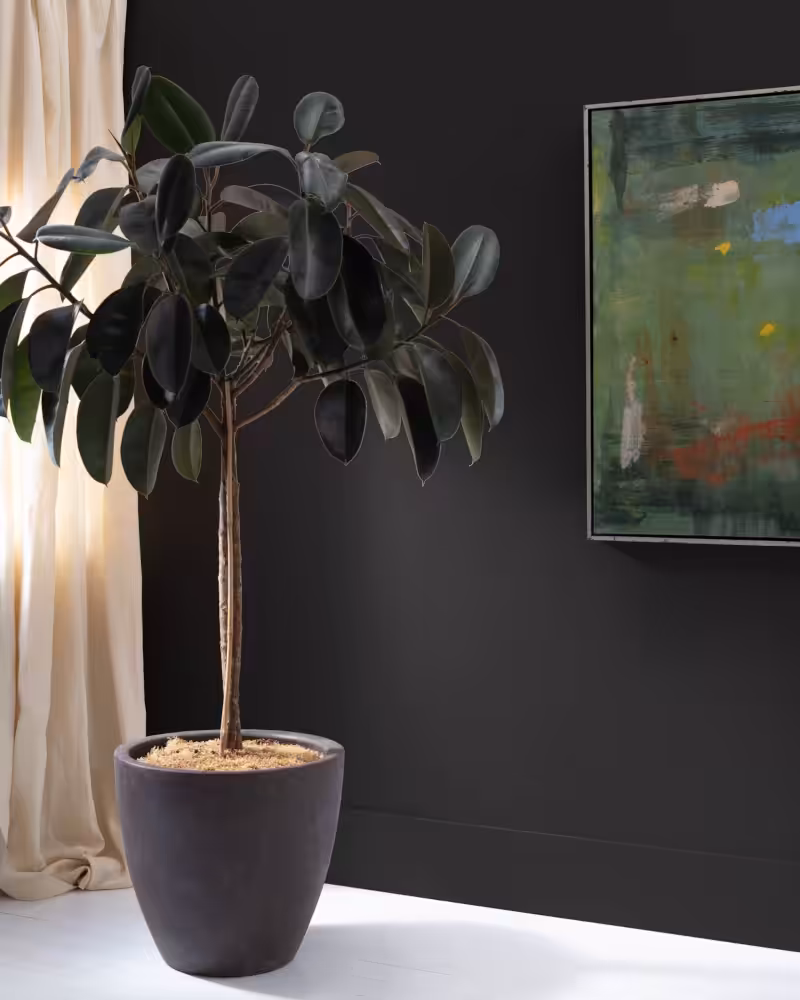 gray pot with flower in front of a wall painted with Benjamin Moore Onyx colour
