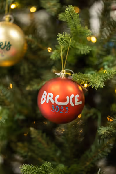 custom christmas ornament with name of bruce on it