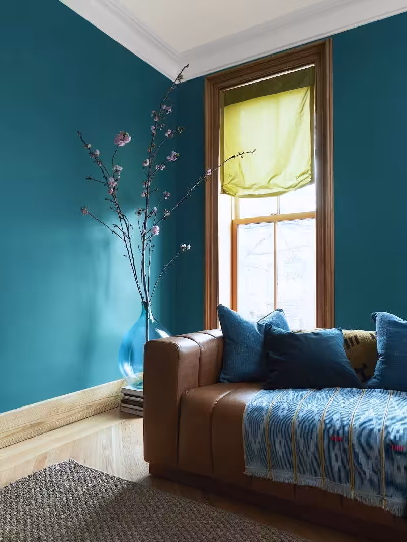 bright living room with leather sofa and walls painted in benjamin moore north green sea colour