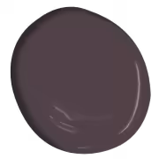 benjamin moore chambourd colour paint dollop