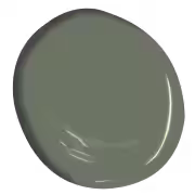 benjamin moore rosepine paint dollop